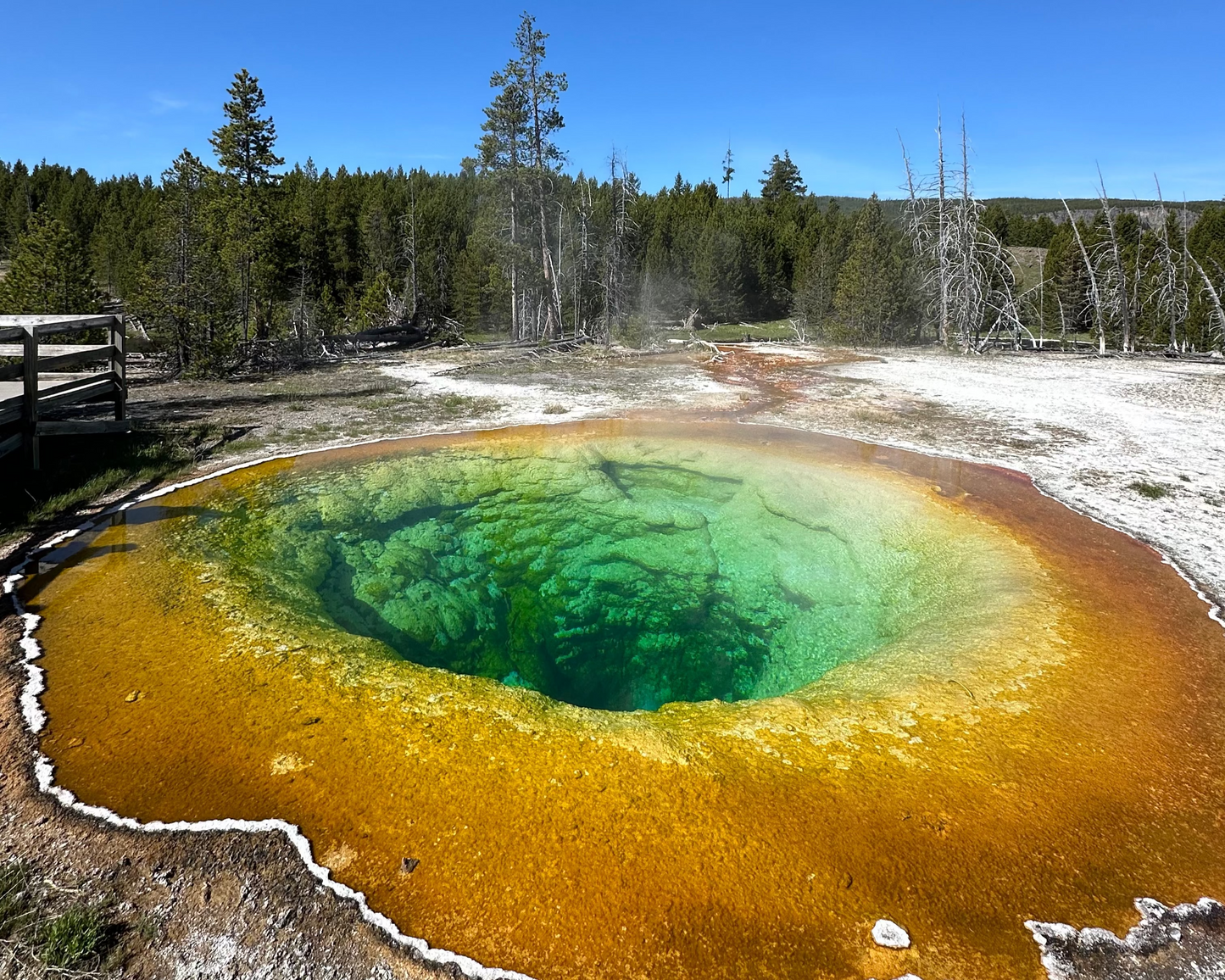 Yellowstone & Grand Teton National Park 2026
