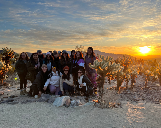 Joshua Tree National Park 2025