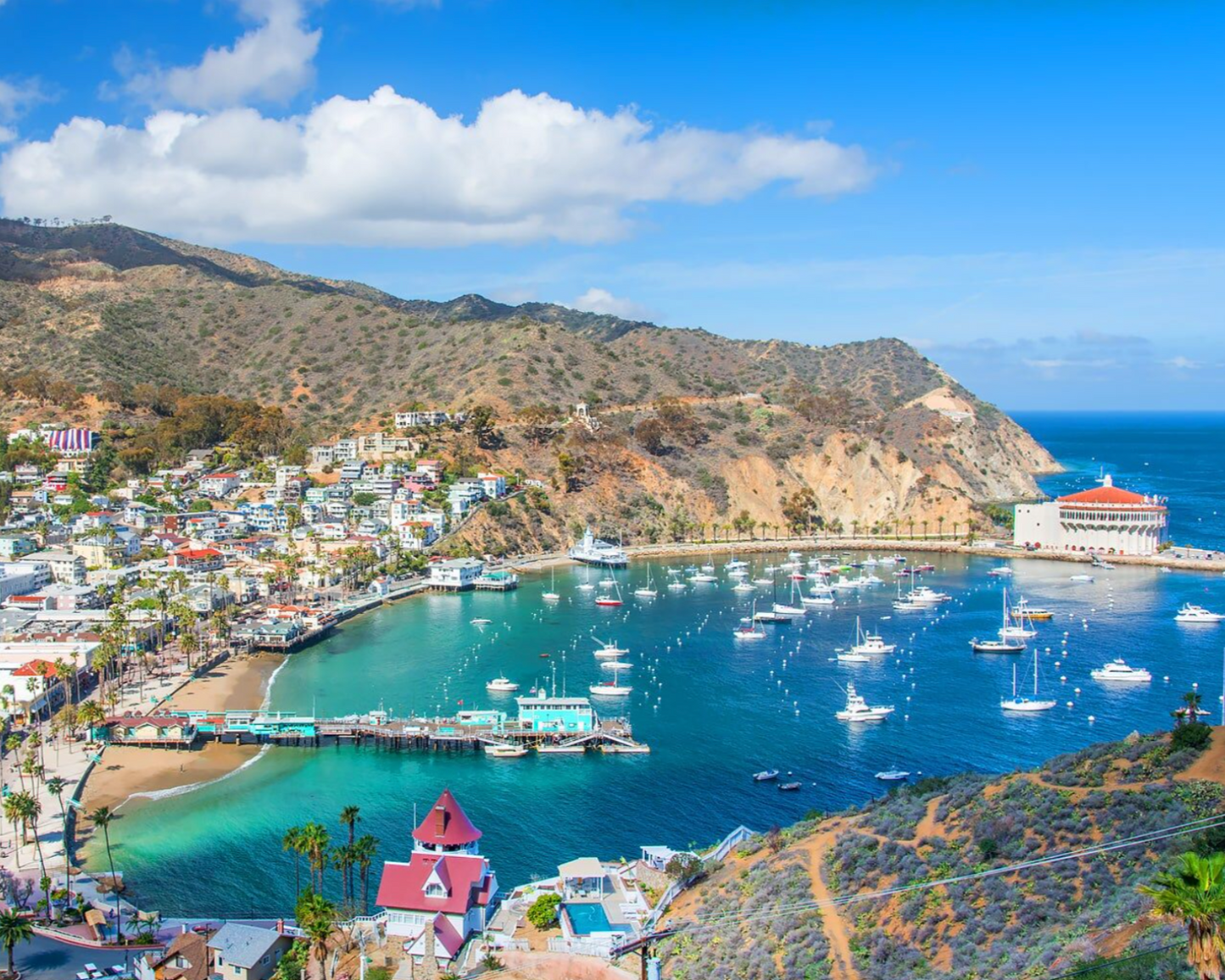 Catalina Island Day Trip
