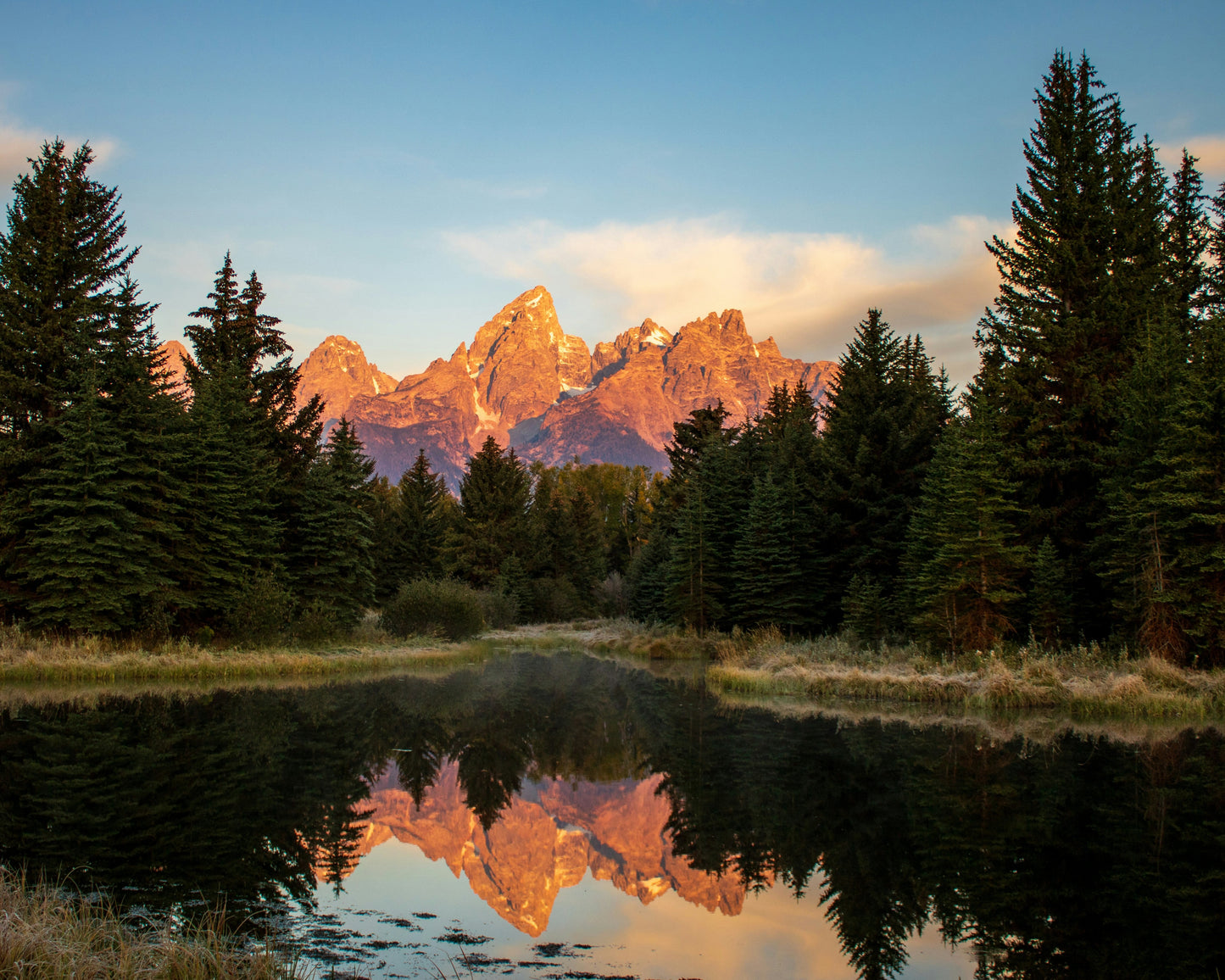 Yellowstone & Grand Teton National Park 2026