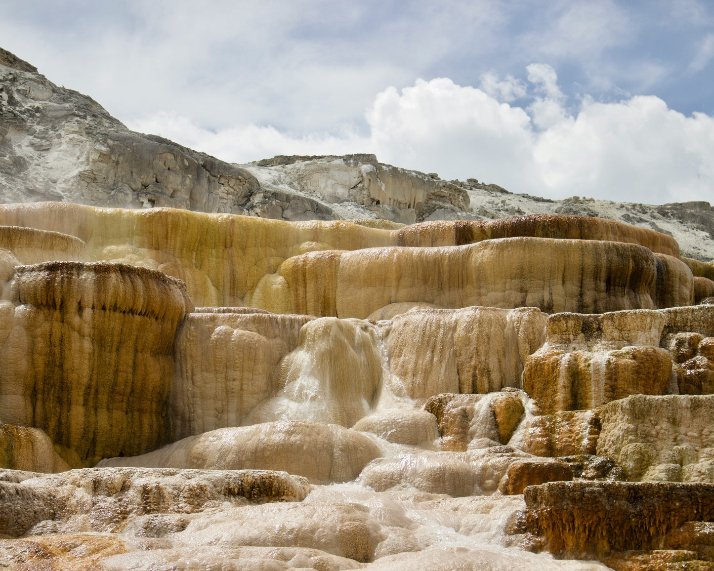 Yellowstone & Grand Teton National Park 2026