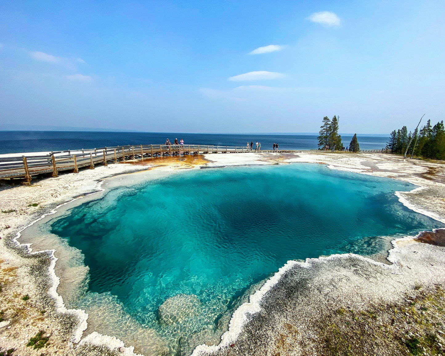Yellowstone & Grand Teton National Park 2026