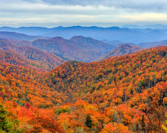 Shenandoah & Great Smoky Mountains