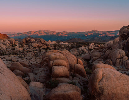 Joshua Tree National Park Baddies Trip