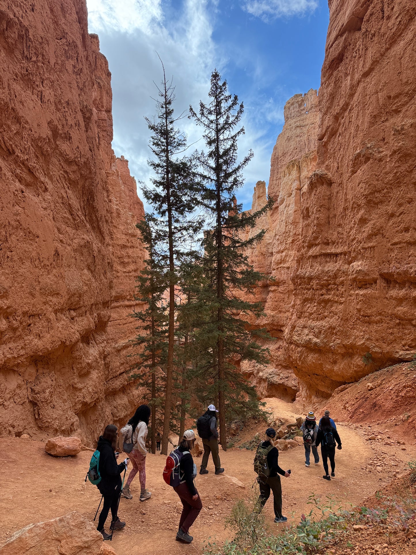 Zion & Bryce Canyon National Park