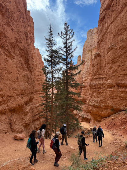 Zion & Bryce Canyon National Park