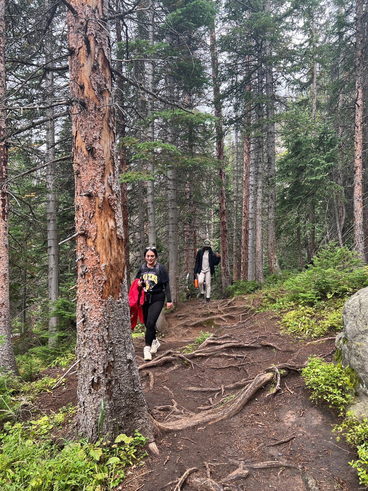 Rocky Mountain National Park 2026
