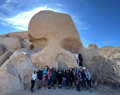 Joshua Tree National Park Baddies Trip