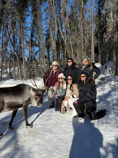 Alaska Northern Lights Adventure