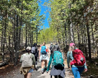 Yellowstone & Grand Teton National Park 2026