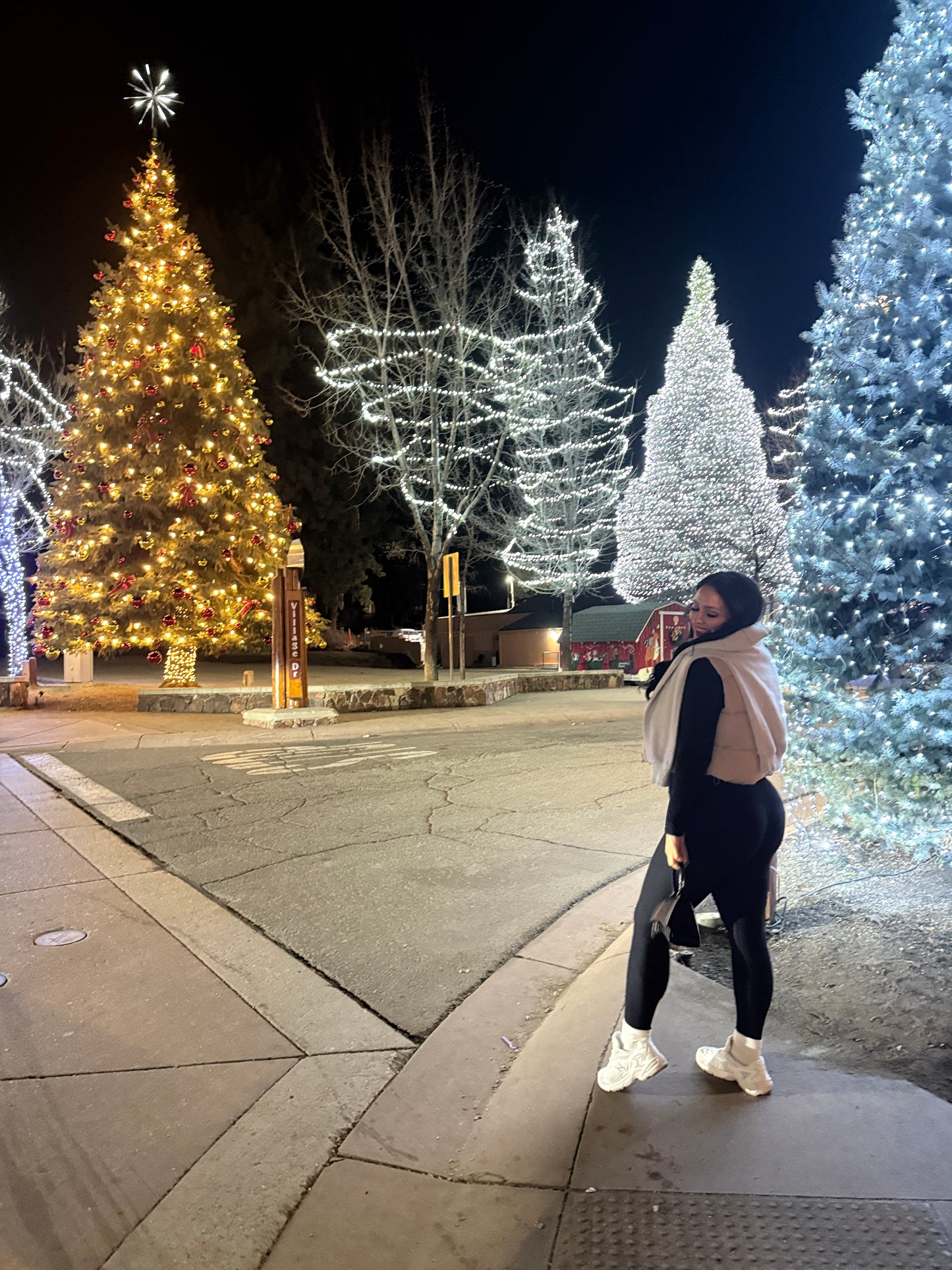 Big Bear Holiday Trip 2025