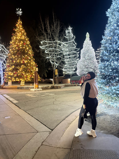 Big Bear Holiday Trip 2025