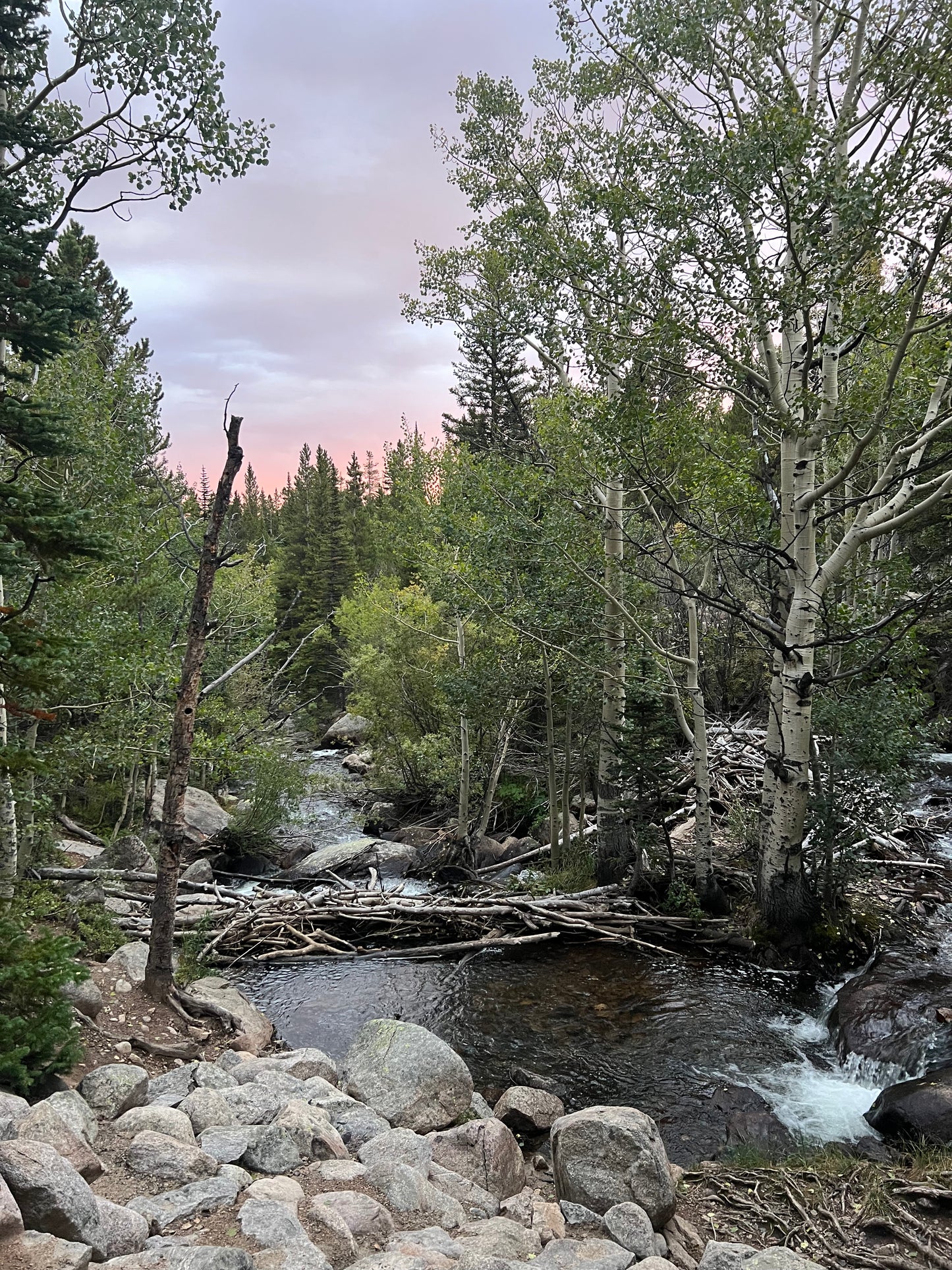 Rocky Mountain National Park 2026