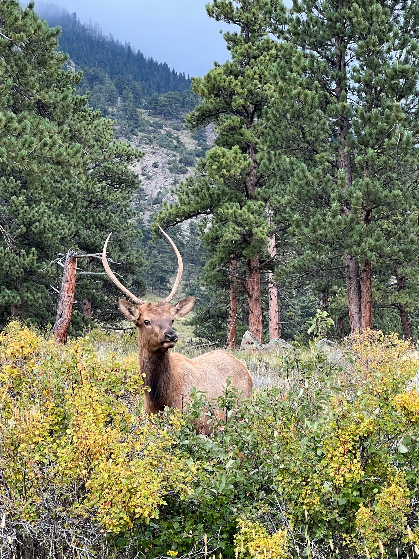 Rocky Mountain National Park 2026