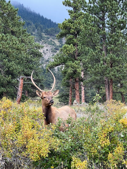 Rocky Mountain National Park 2026