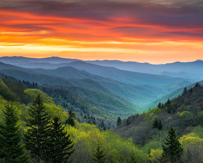Shenandoah & Great Smoky Mountains