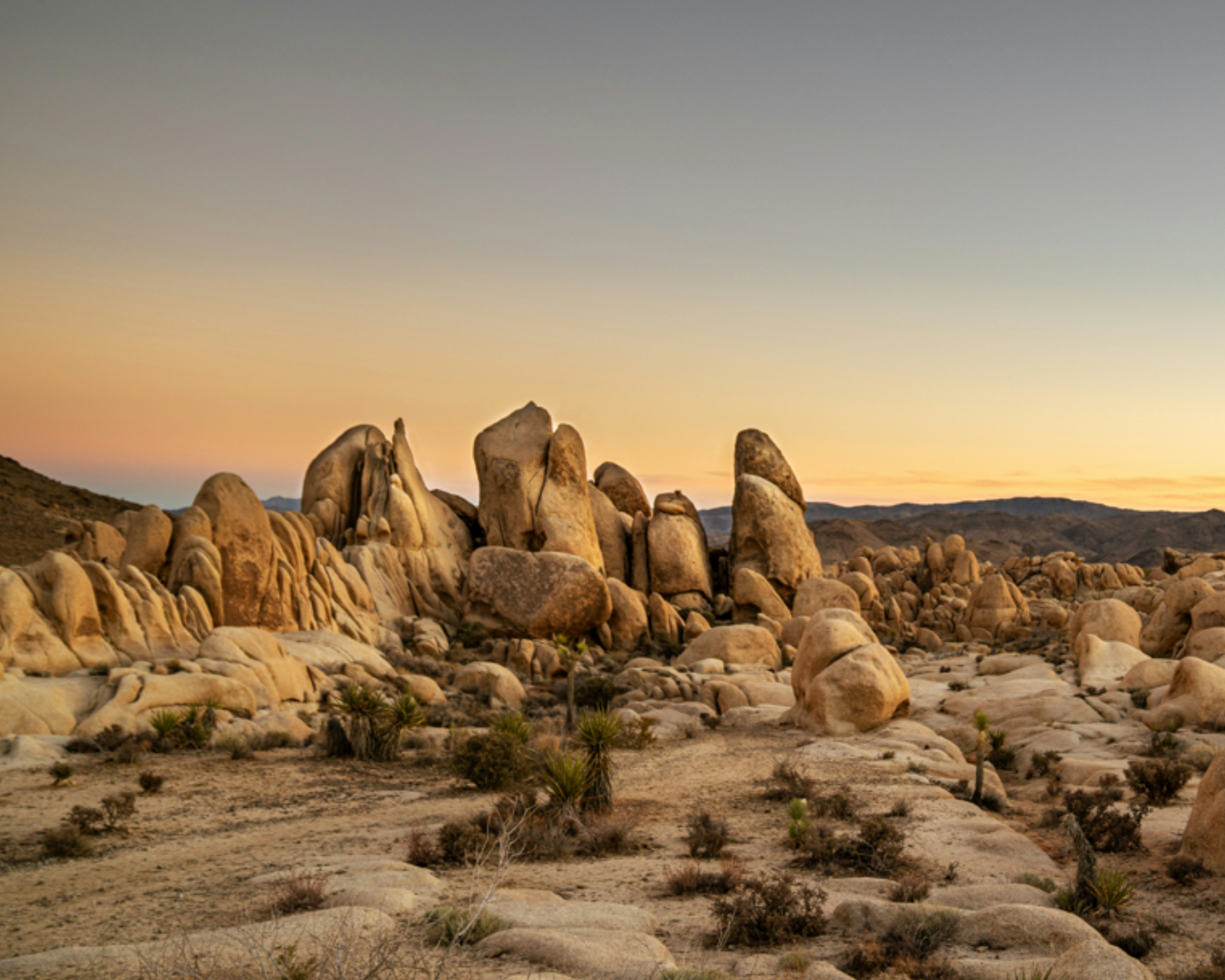 Joshua Tree National Park 2025