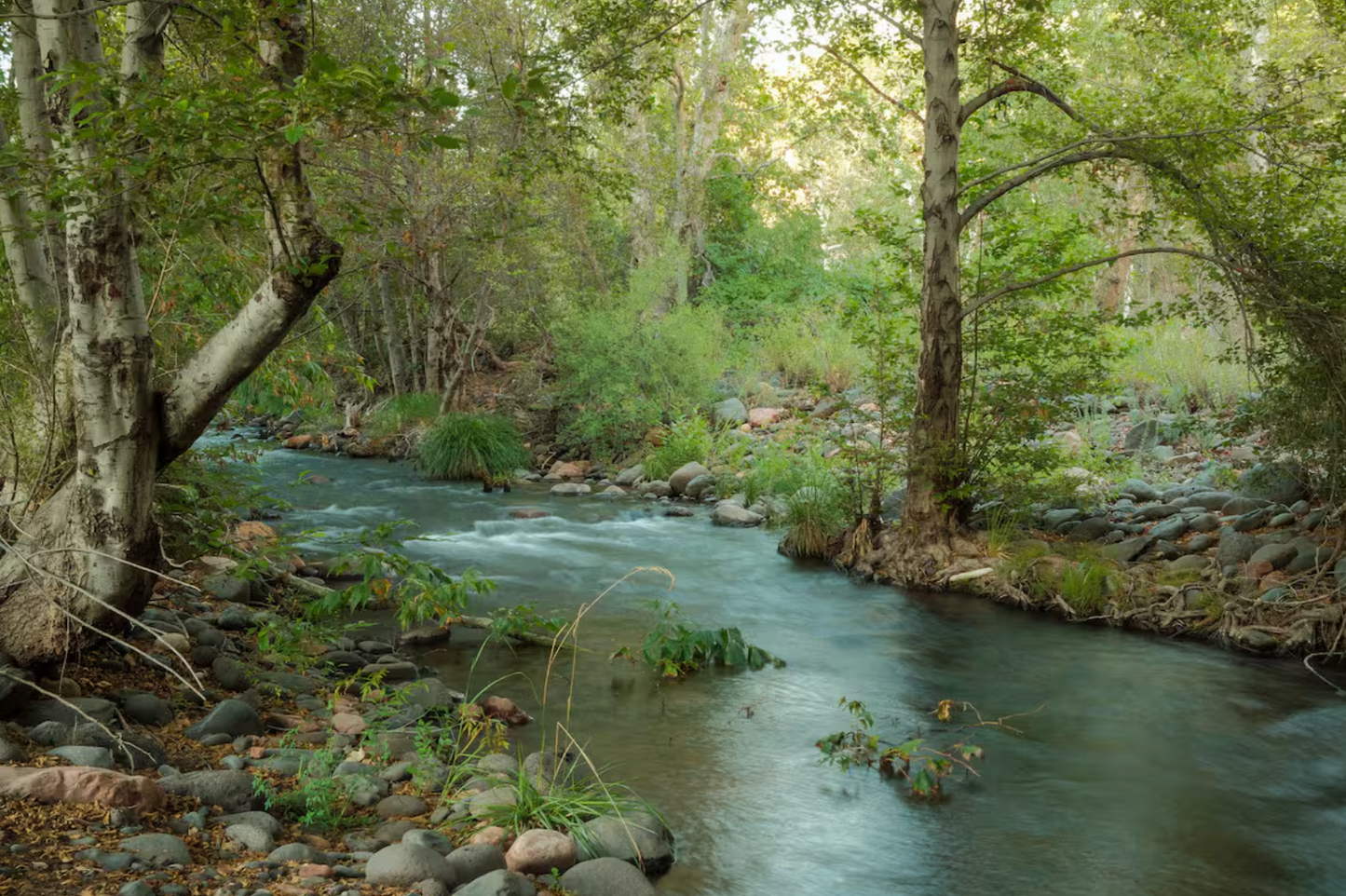 Baddies x Sedona: Labor Day Wellness Escape