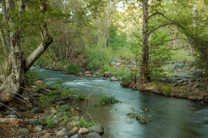 Baddies x Sedona: Labor Day Wellness Escape