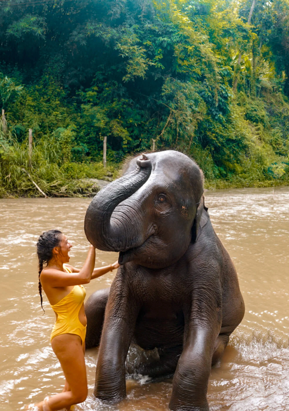 🇹🇭 Baddies x Thailand | 11-Day Temple, Elephant & Island Adventure
