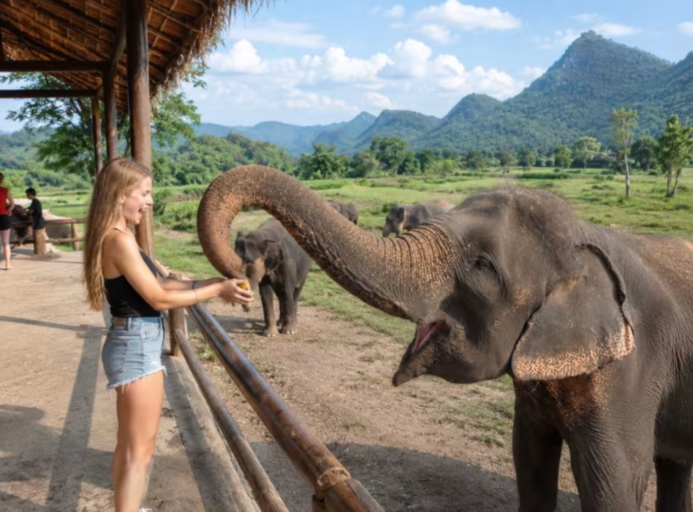 🇹🇭 Baddies x Thailand | 11-Day Temple, Elephant & Island Adventure