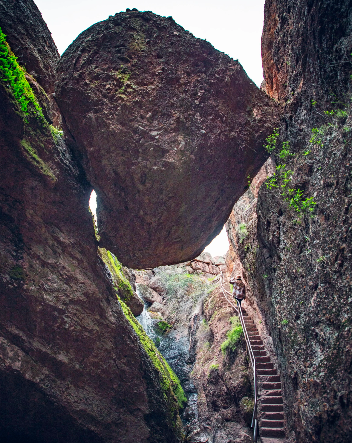 Pinnacles & Big Sur Roadtrip