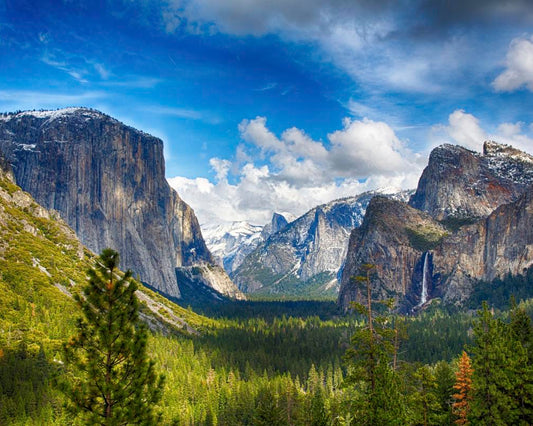 Yosemite National Park 1