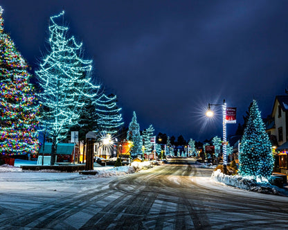 Big Bear Holiday Trip 2025