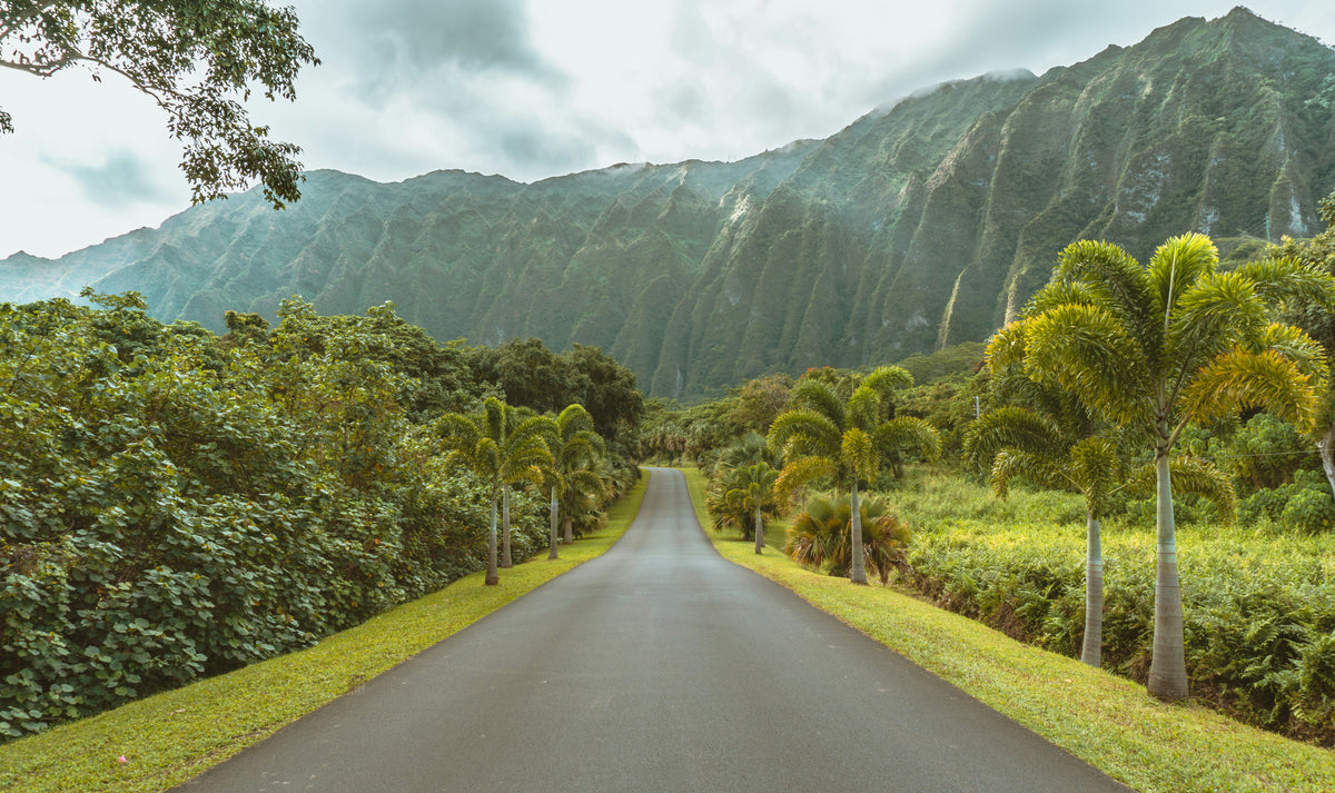 Hawaii: Kauaʻi + Oʻahu + Maui (Optional)