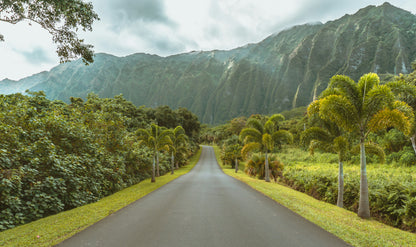 Hawaii: Kauaʻi + Oʻahu + Maui (Optional)
