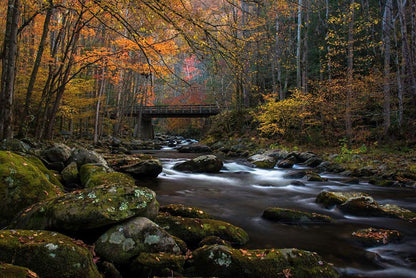 Shenandoah & Great Smoky Mountains