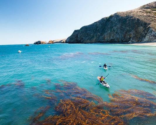 Channel Islands National Park Day Trip