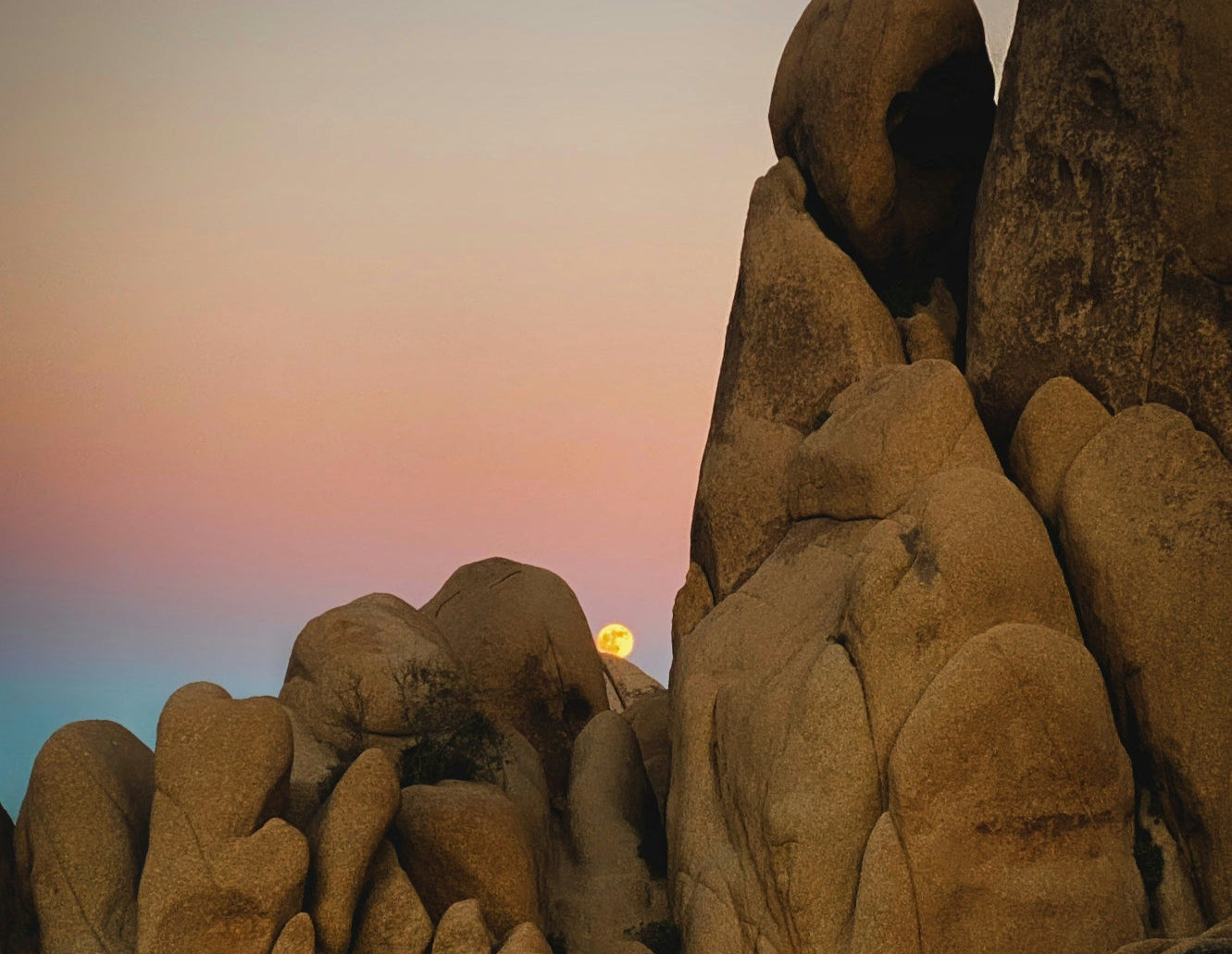 Joshua Tree National Park Baddies Trip