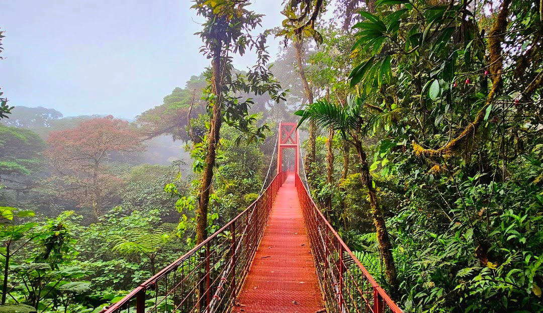 🇨🇷 Baddies x Costa Rica | 6-Day Volcano, Rainforest & Waterfall Adventure