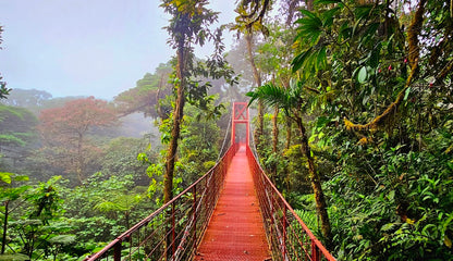 🇨🇷 Baddies x Costa Rica | 6-Day Volcano, Rainforest & Waterfall Adventure